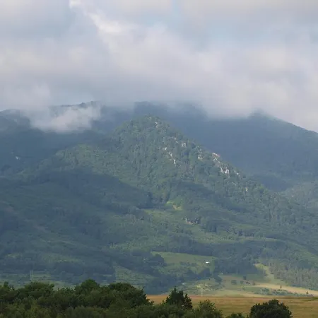 Koruna בית הארחה 2*